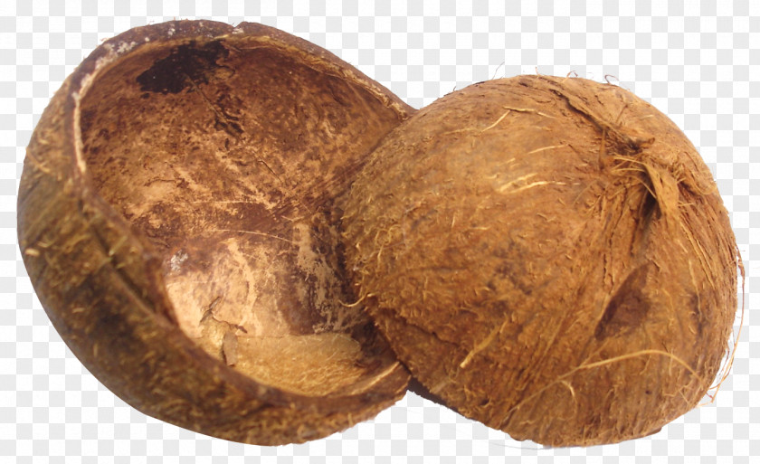 Egg Shell Halves Coimbatore Coconut Sugar Manufacturing Export PNG