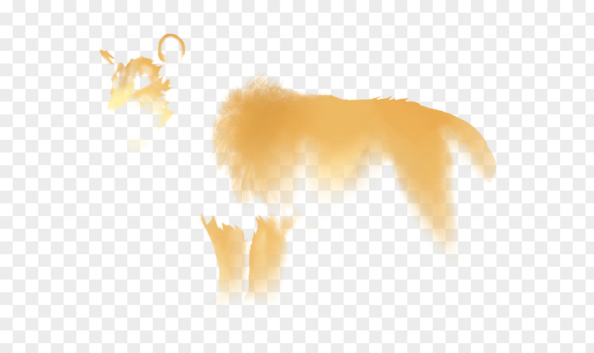 Mid-cover Felidae Cheetah Lion Yellow Carnivora PNG