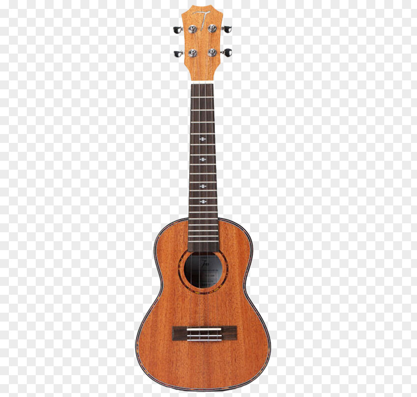 Musical Instruments Ukulele Fender Stratocaster Acoustic Guitar PNG
