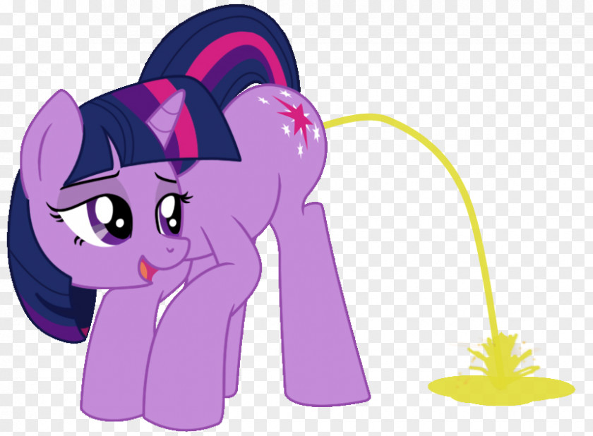 My Little Pony Twilight Sparkle Pinkie Pie Applejack Rainbow Dash PNG