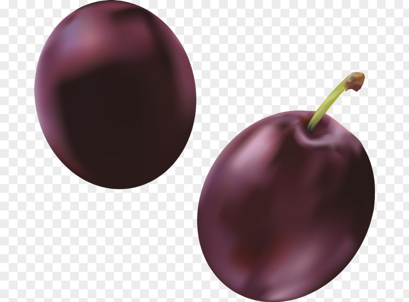 Plum Download Photography Common Clip Art PNG