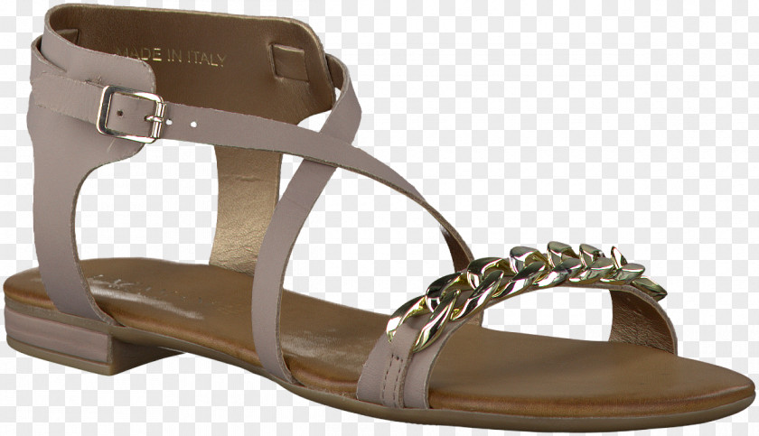 Sandal Footwear Shoe Slide Brown PNG