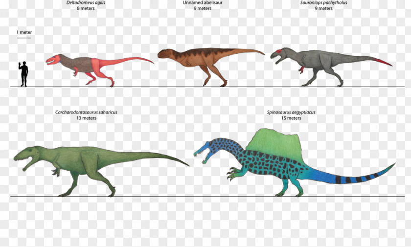 Sauroniops Velociraptor Tyrannosaurus PNG