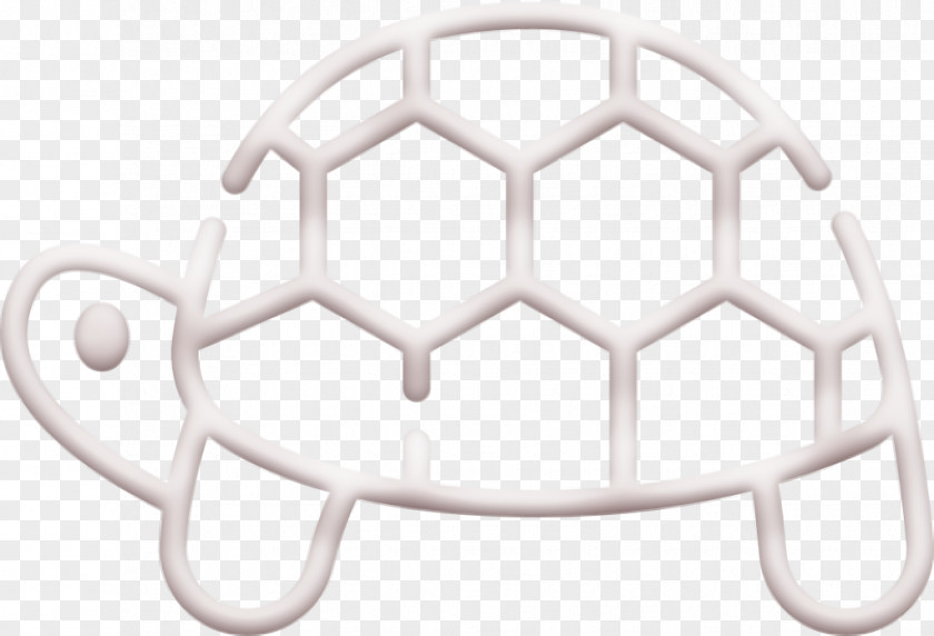 Turtle Icon Animals Animal PNG