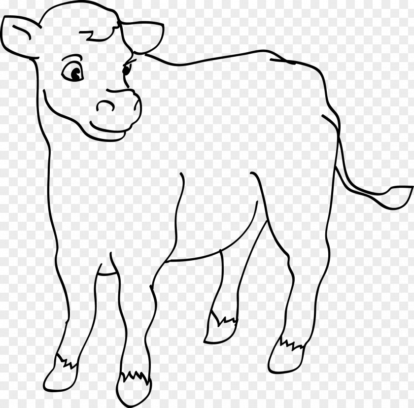 Cattle Coloring Book Drawing Ausmalbild PNG