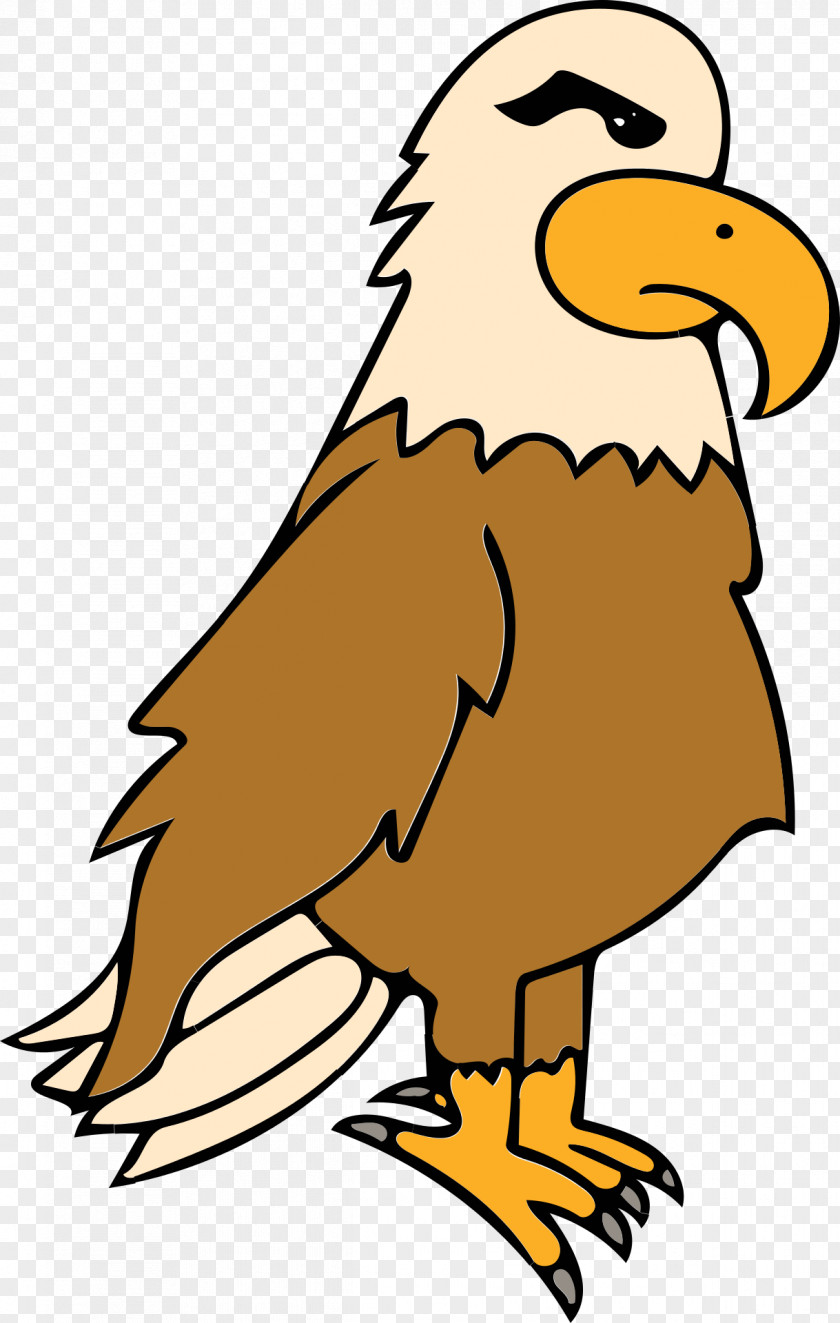 Eagles Vector Bald Eagle Bird Clip Art PNG