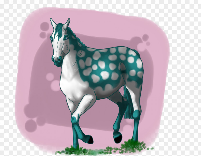 Mustang Mare Foal Stallion Pack Animal PNG