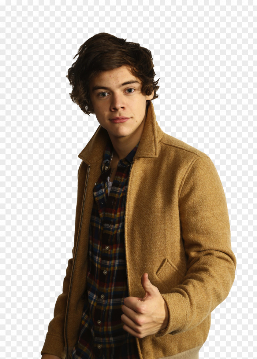 One Direction Harry Styles Christmas Santa Claus Elf PNG