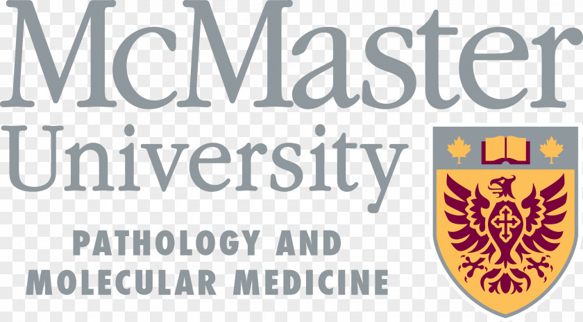 Business DeGroote School Of McMaster University Professor Master Administration PNG