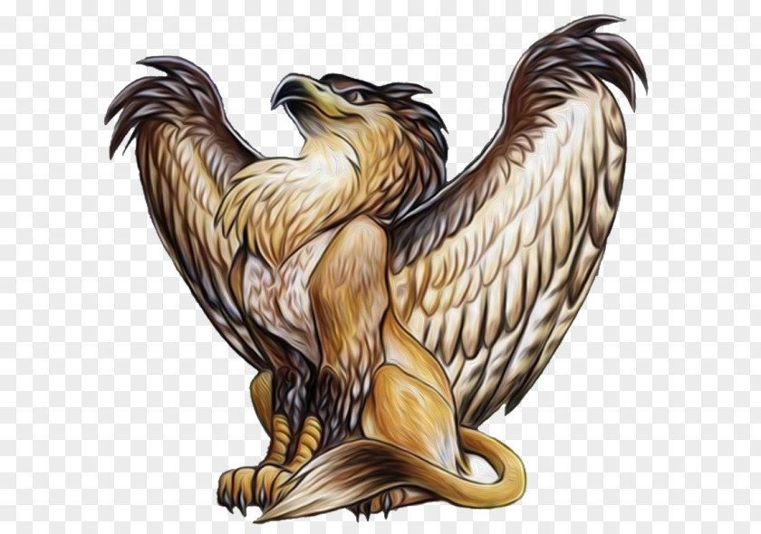 Griffin Legendary Creature Mythology Dragon PNG