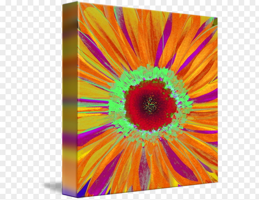 Painting Artist Work Of Art Abstract PNG