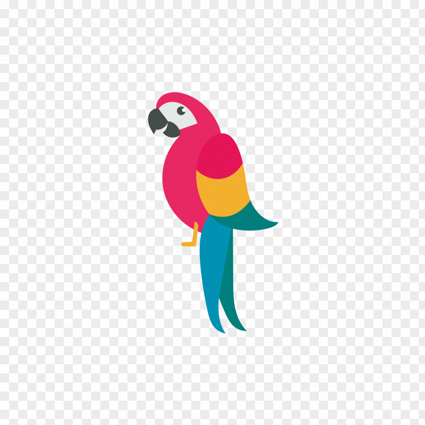 Parrot Draw Birds Drawing Clip Art PNG