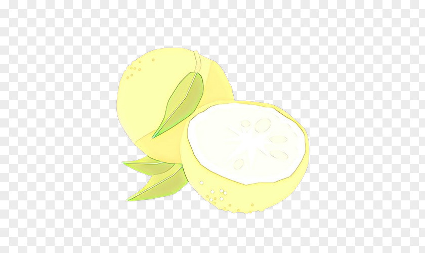 Plant Lemon PNG