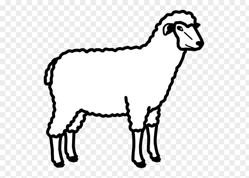 Sheep Far From Perfect Clip Art PNG
