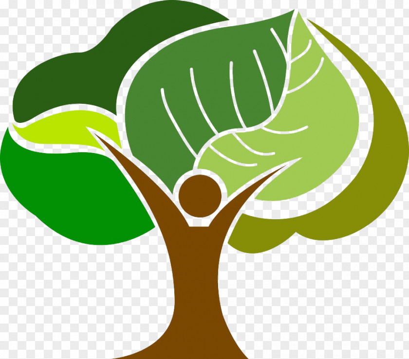 Tree Logo Drawing Photography PNG