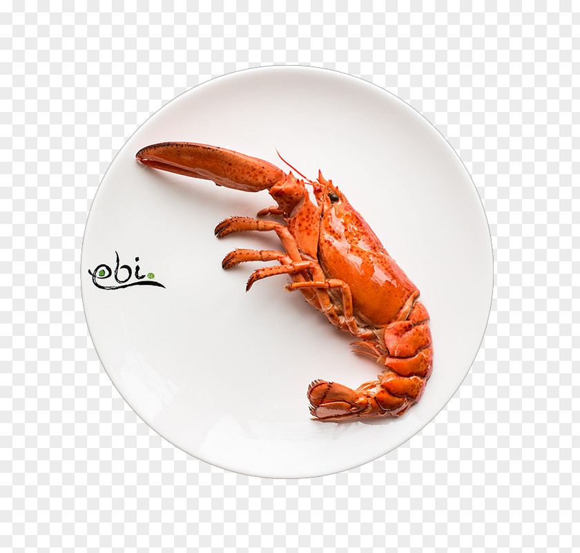 American Lobster European Dungeness Crab Teppanyaki Restaurant Ebi 7 PNG lobster crab 7, ebi clipart PNG