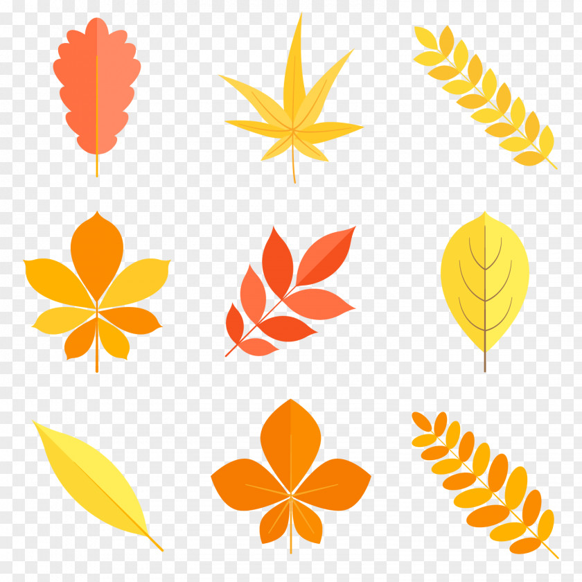 Colorful Autumn Leaves Vector Leaf Clip Art PNG