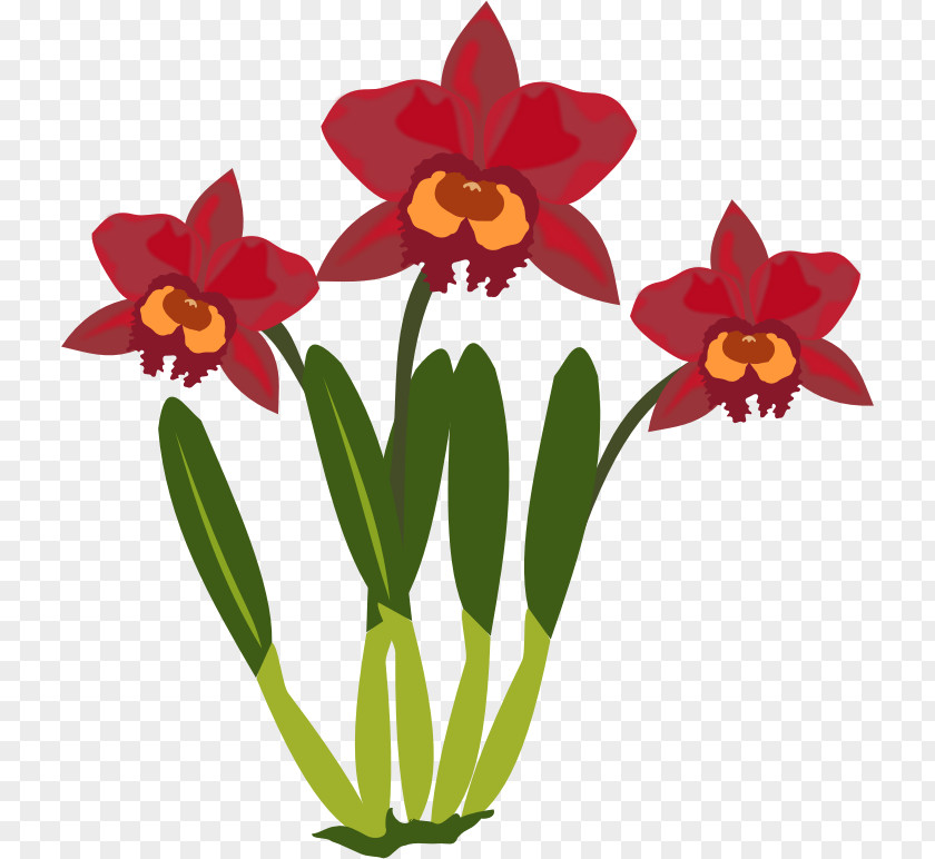 Columbian Orchid Cliparts Cattleya Orchids Clip Art PNG