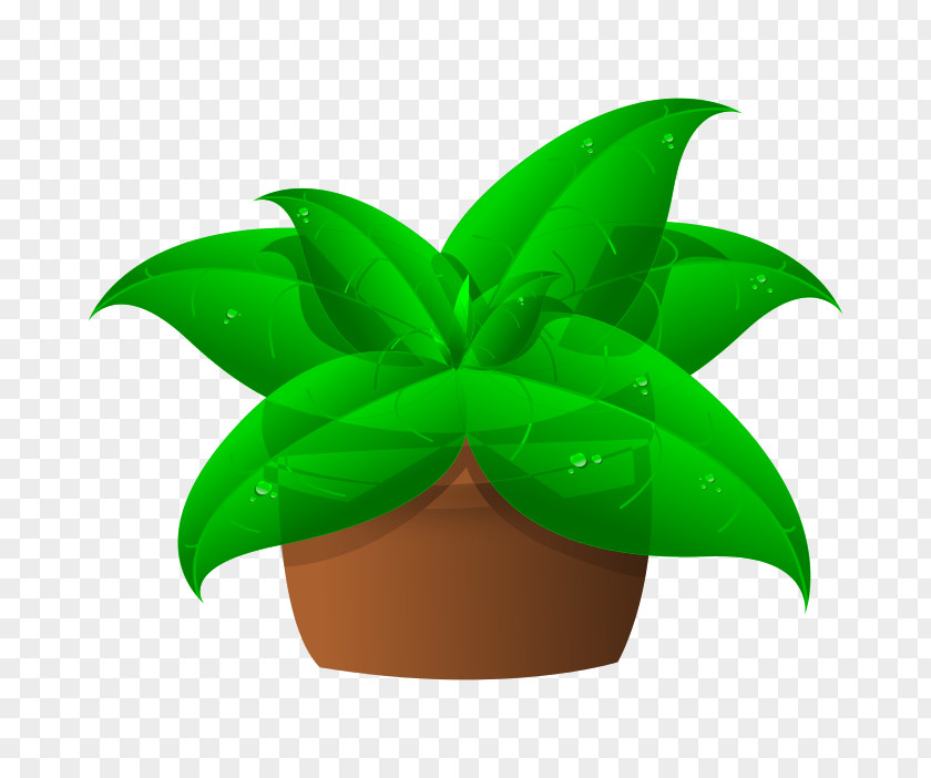Potted Plant Houseplant Clip Art PNG