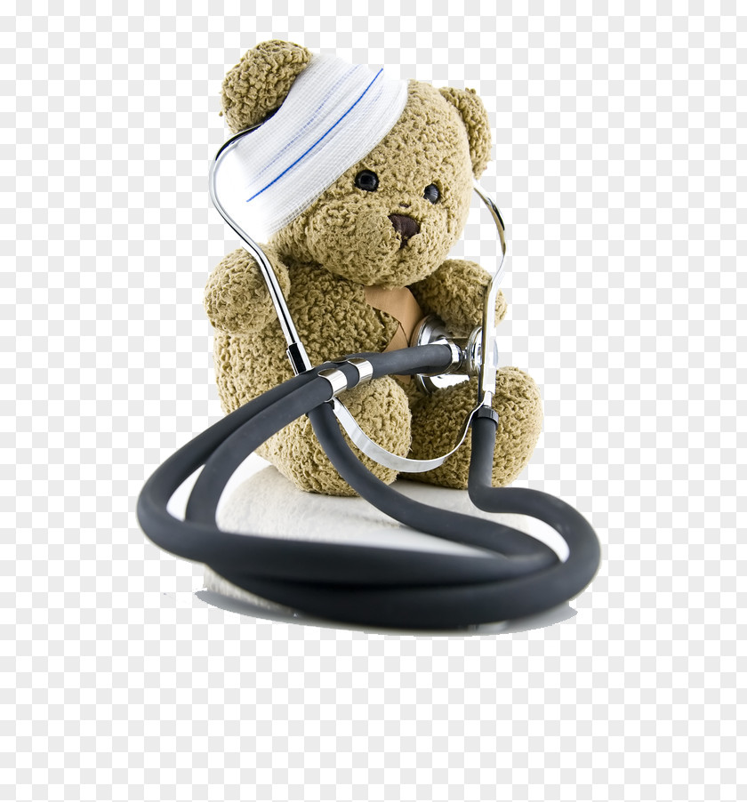 Cartoon Bear Ill Download Stock.xchng PNG