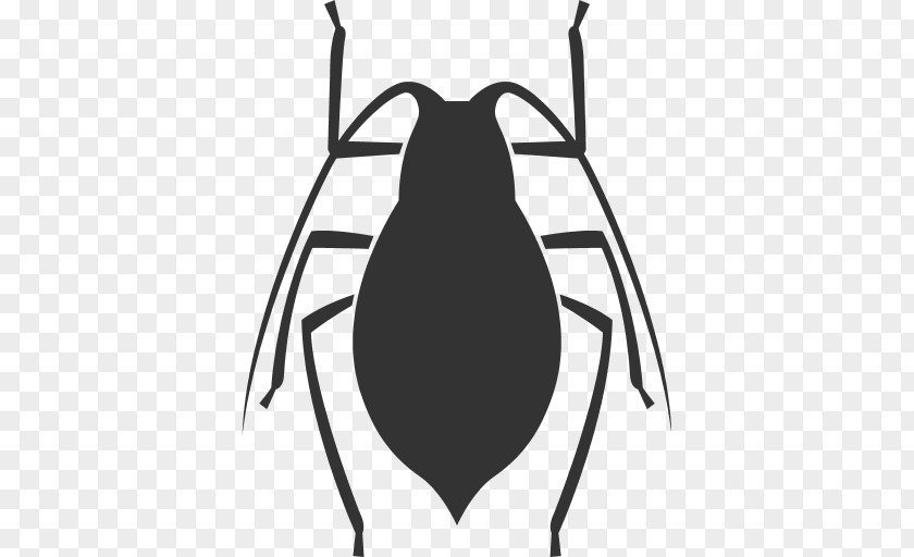 DésinsectisationDératisation En France Cockroach Pest Software BugInsect Désinfection PNG