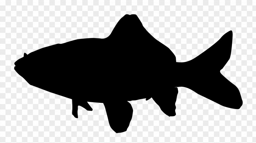 Goldfish Common Koi Silhouette PNG