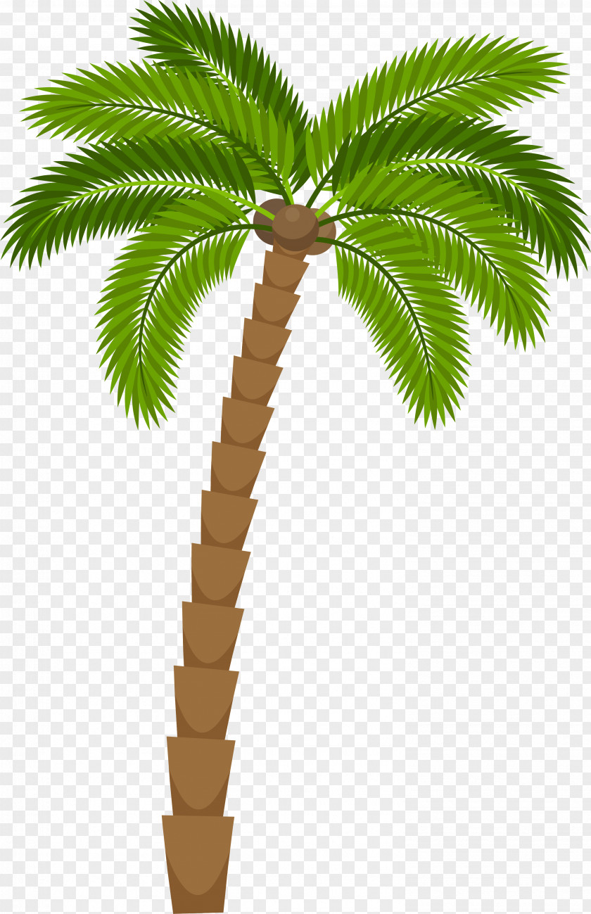Green Cartoon Coconut Tree Drawing Silhouette Royalty-free Illustration PNG