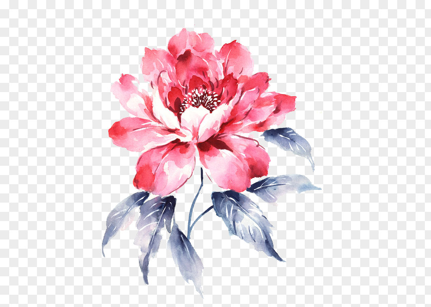 Peony Moutan Download PNG