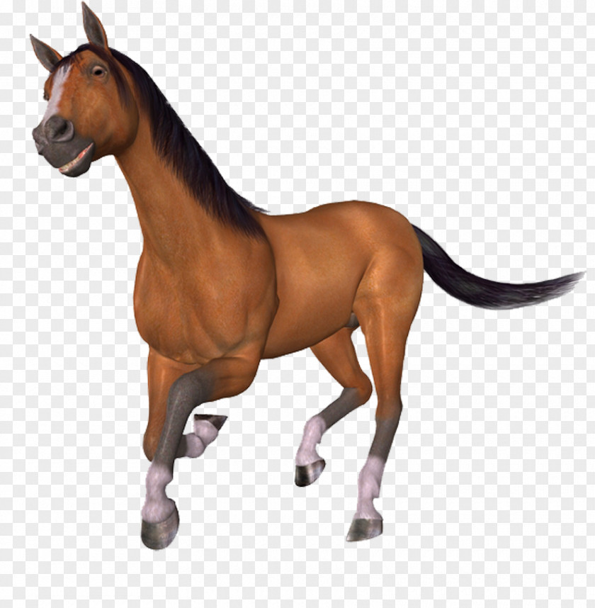 Running Horse Brush Dither PNG