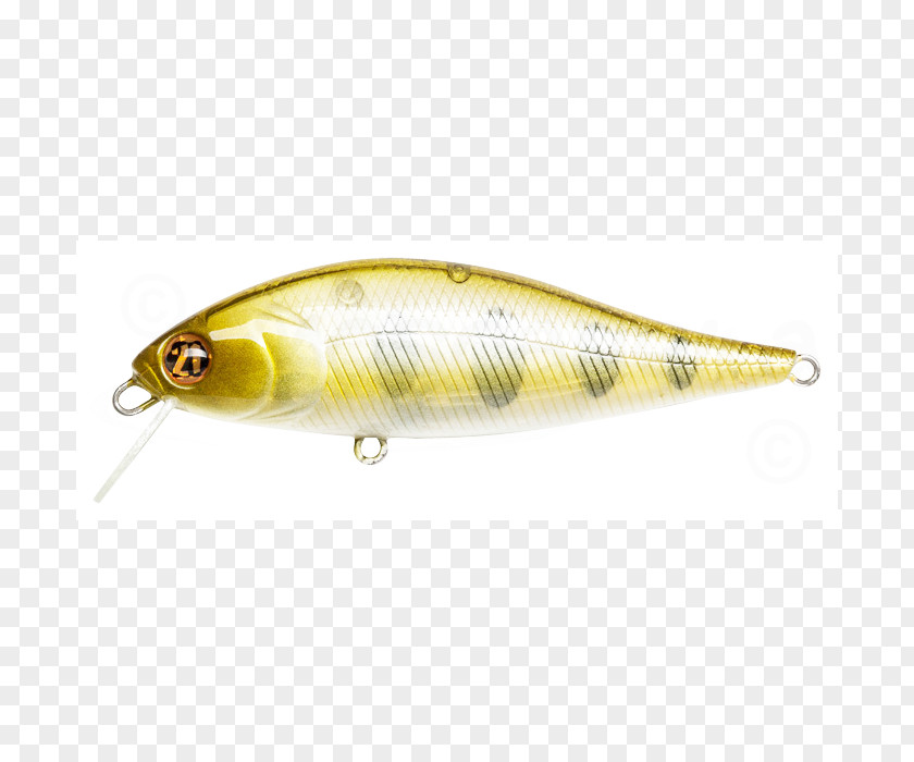 Spoon Lure Osmeriformes Perch Fish AC Power Plugs And Sockets PNG