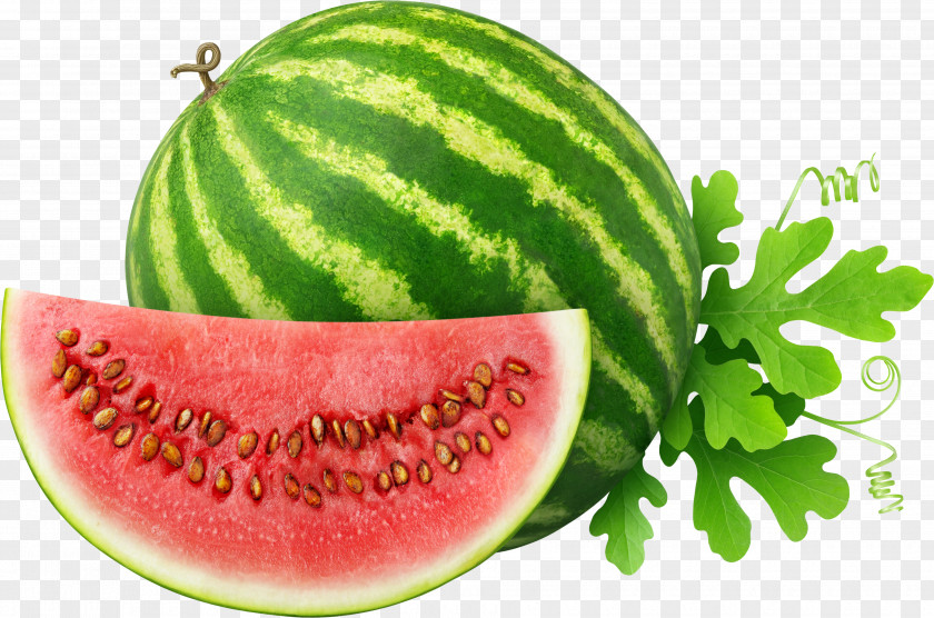 Watermelon Stock Photography Food Clip Art PNG