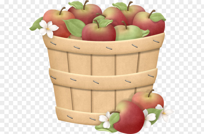 A Basket Of Apples Paper Drawing Clip Art PNG