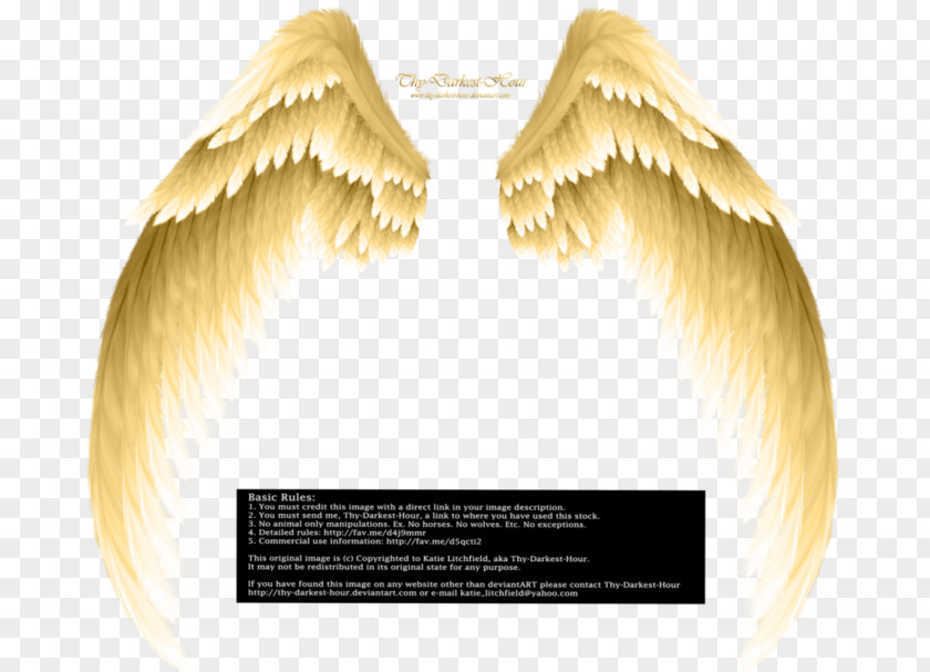 Angel Archangel Clip Art PNG