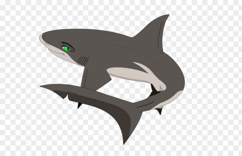 Babyshark Ecommerce Tiger Shark Requiem Sharks Product Design PNG