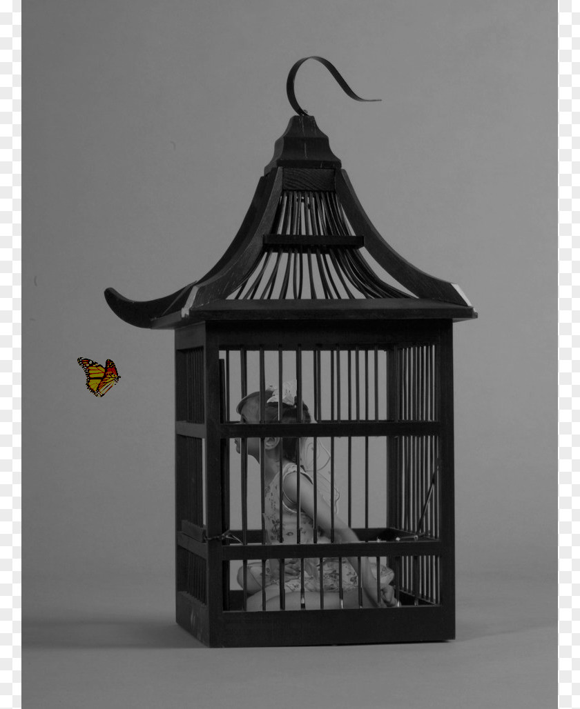 Bird Cage Birdcage Parrot Aviculture PNG