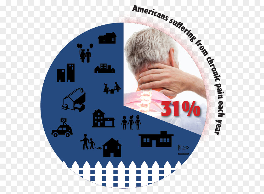 Drug Addiction Pie Chart Opioid Use Disorder Chronic Pain PNG