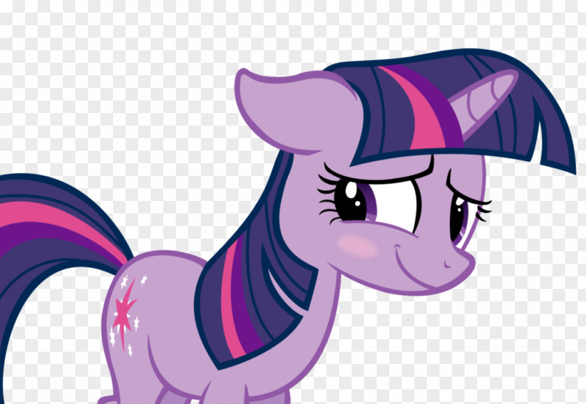 Horse Pony Twilight Sparkle Applejack Rainbow Dash Fluttershy PNG