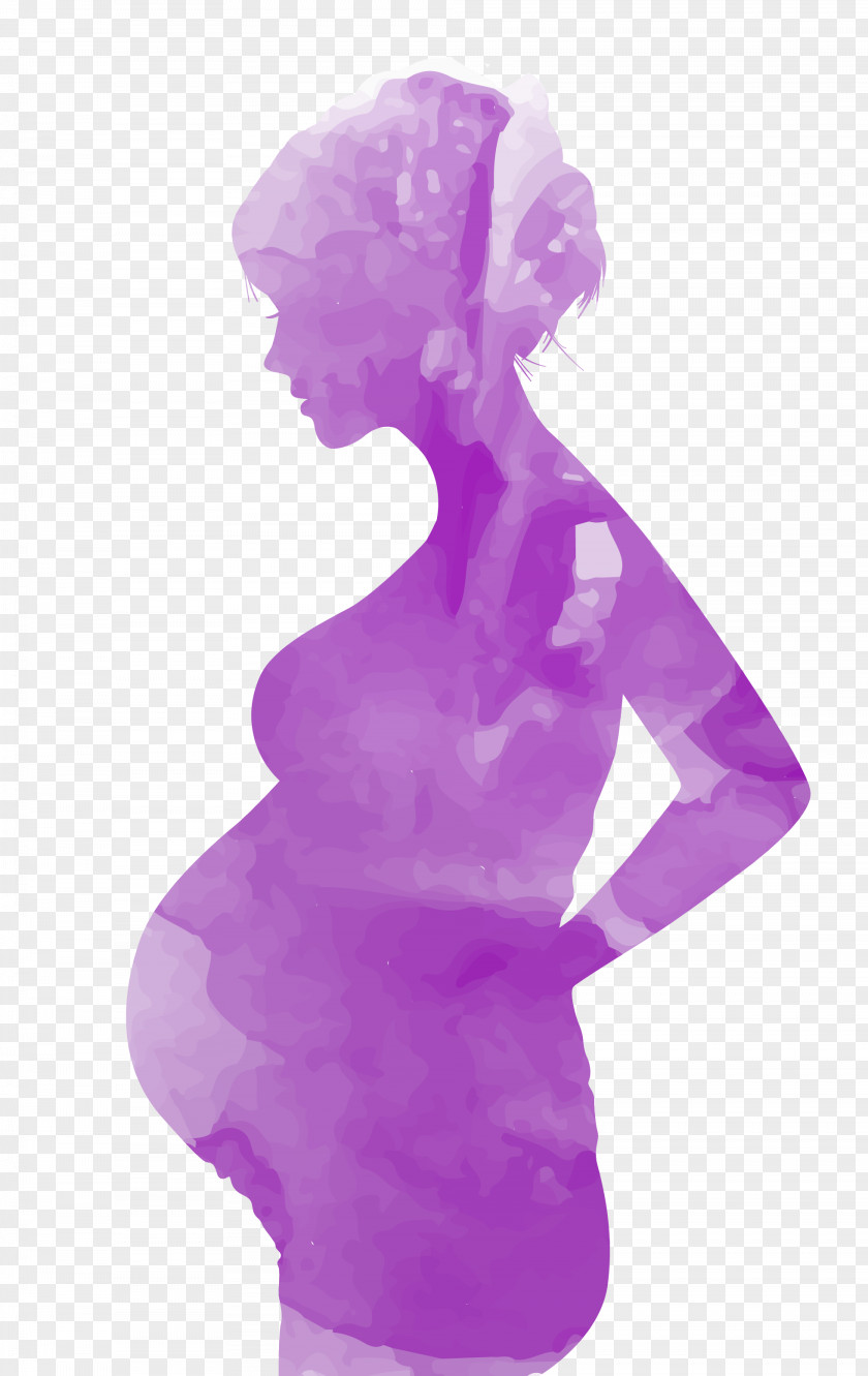 Purple Fresh Pregnant Women Decoration Pattern Mothers Day Child Pregnancy Fathers PNG