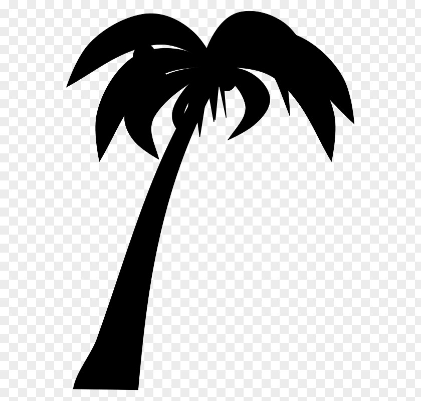 Coconuts Tree Arecaceae Coconut Silhouette PNG