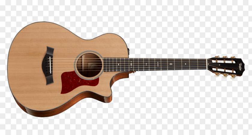 Guitar Twelve-string Taylor Guitars Acoustic-electric Acoustic PNG