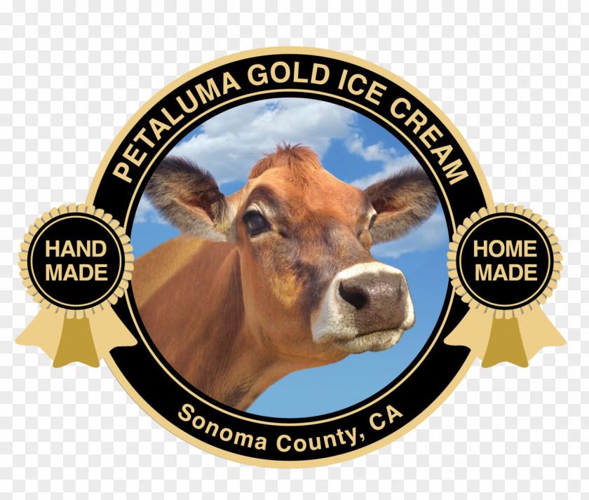 Ice Cream Cattle Spring Hill Jersey Cheese Creamery PNG