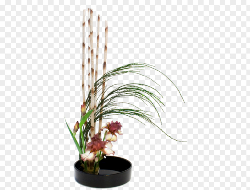 Japan Ikebana Flower Floristry Floral Design PNG