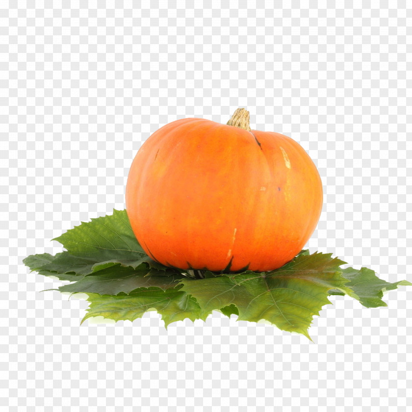 Pumpkin Jack-o-lantern Food Carving PNG