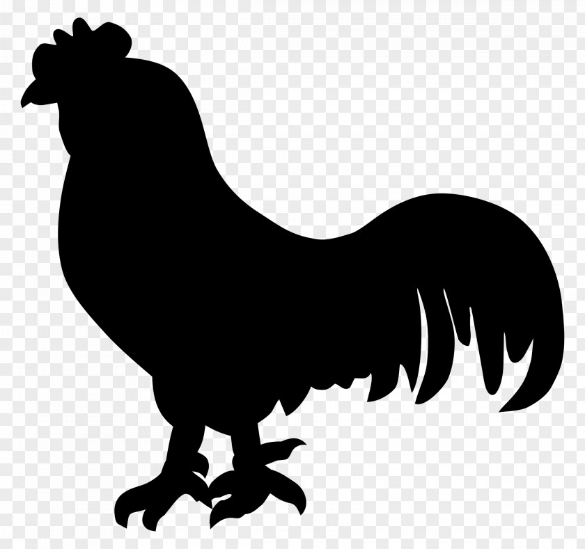 Rooster Clip Art Silhouette Chicken Gamecock PNG