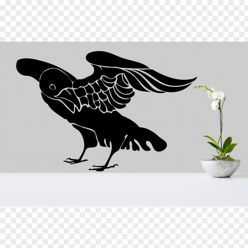 Crow Common Raven Clip Art PNG