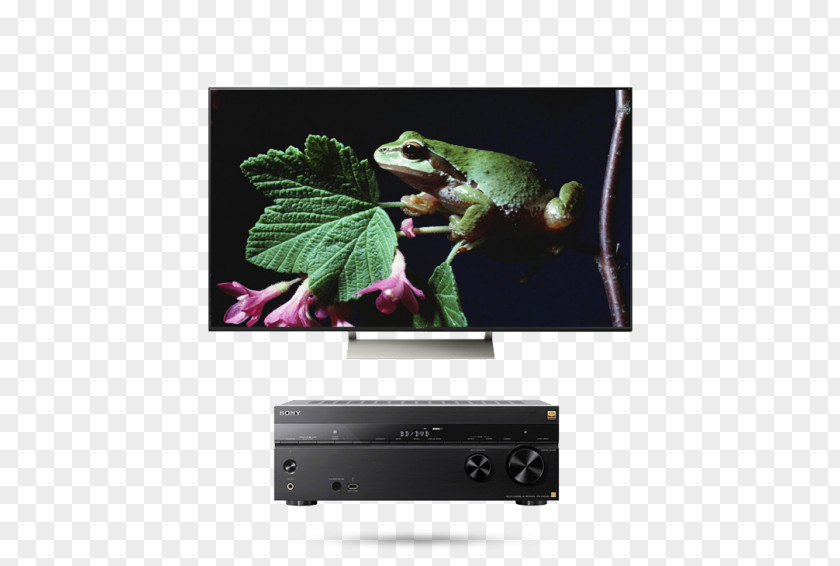 Sony Ultra-high-definition Television 4K Resolution Bravia LED-backlit LCD PNG