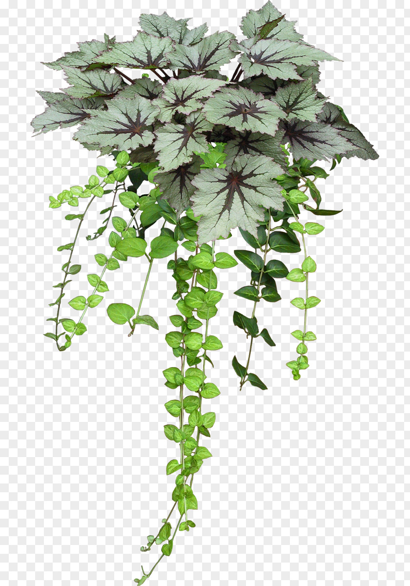 Soylent Green 2 Flowerpot Image Plants PNG