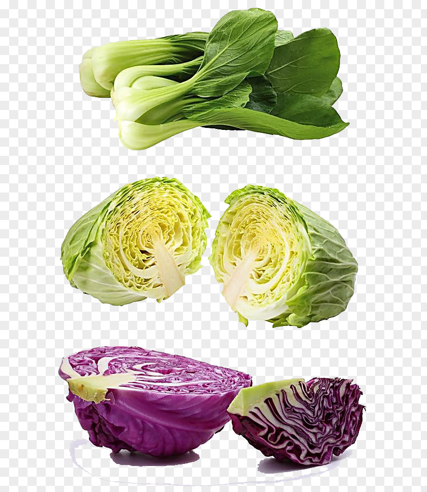Vegetables Juice Lacinato Kale Vegetable Red Cabbage PNG