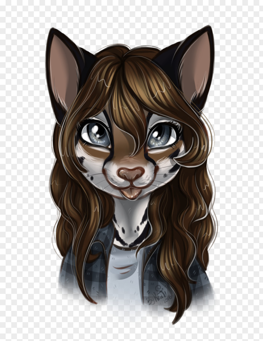 Cat Whiskers Work Of Art PNG