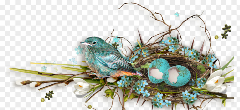 Easter Bird Nest Holiday Clip Art PNG